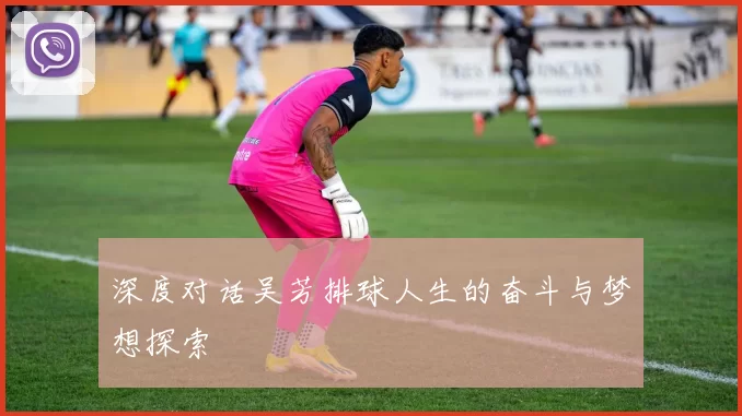 深度对话吴芳排球人生的奋斗与梦想探索