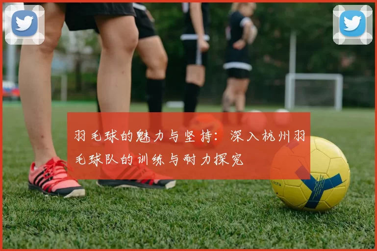 羽毛球的魅力与坚持：深入杭州羽毛球队的训练与耐力探究