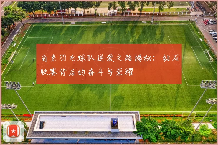 南京羽毛球队逆袭之路揭秘：钻石联赛背后的奋斗与荣耀