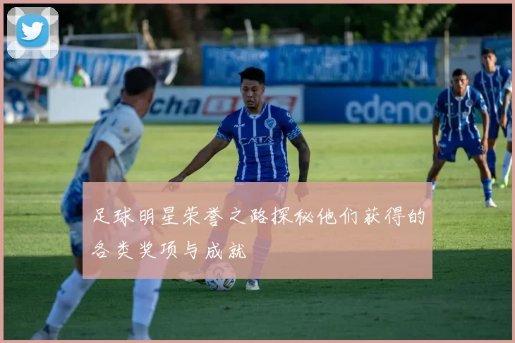 足球明星荣誉之路探秘他们获得的各类奖项与成就