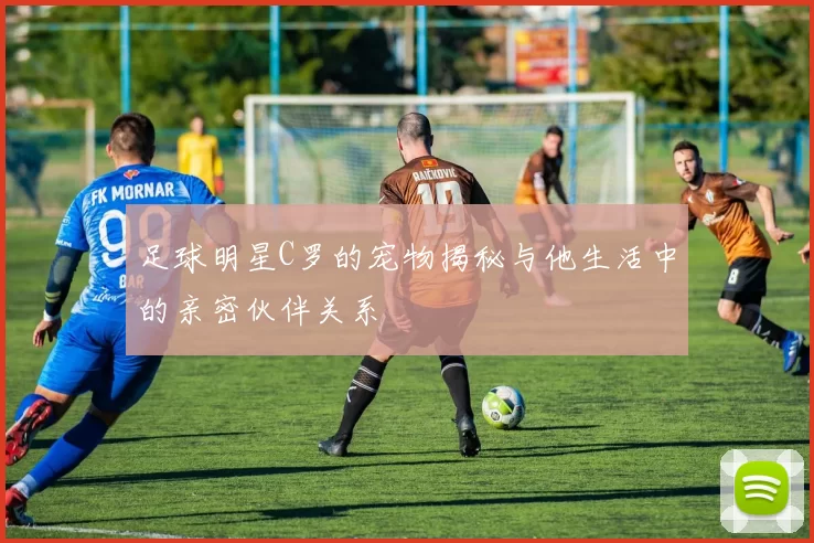 足球明星C罗的宠物揭秘与他生活中的亲密伙伴关系