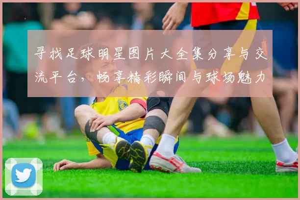 寻找足球明星图片大全集分享与交流平台，畅享精彩瞬间与球场魅力