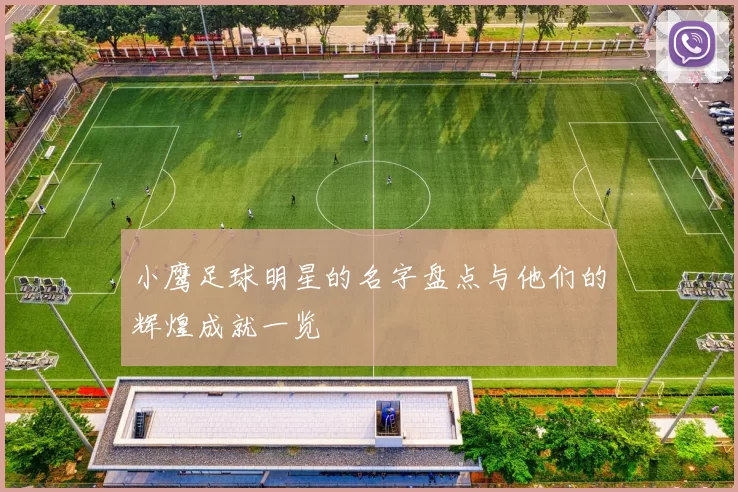 小鹰足球明星的名字盘点与他们的辉煌成就一览