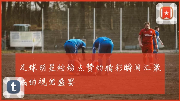 足球明星纷纷点赞的精彩瞬间汇聚成的视觉盛宴
