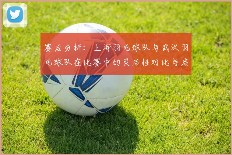 赛后分析：上海羽毛球队与武汉羽毛球队在比赛中的灵活性对比与启示