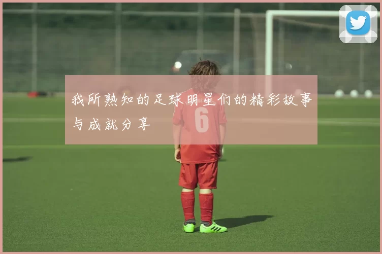 我所熟知的足球明星们的精彩故事与成就分享