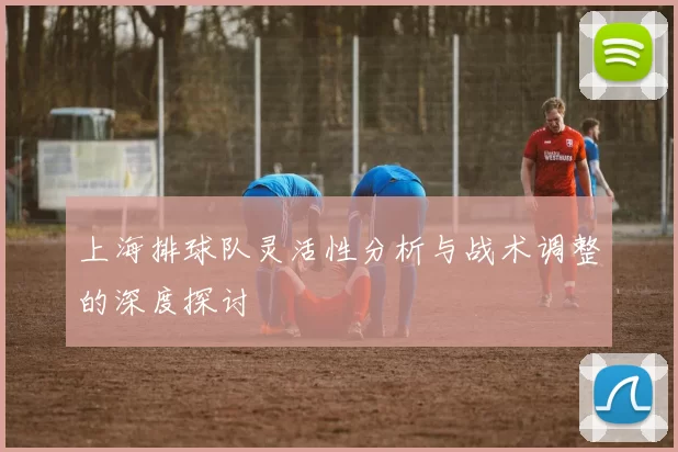 上海排球队灵活性分析与战术调整的深度探讨