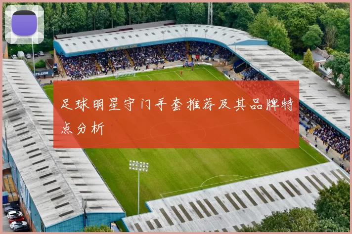 足球明星守门手套推荐及其品牌特点分析