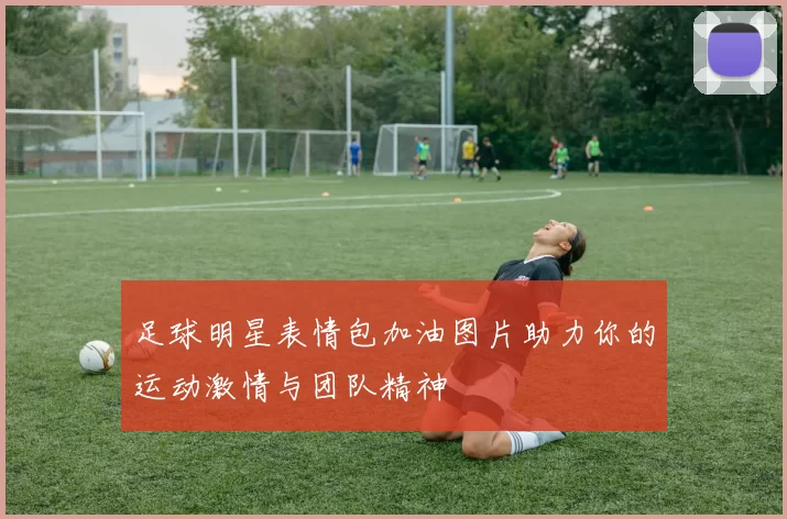 足球明星表情包加油图片助力你的运动激情与团队精神