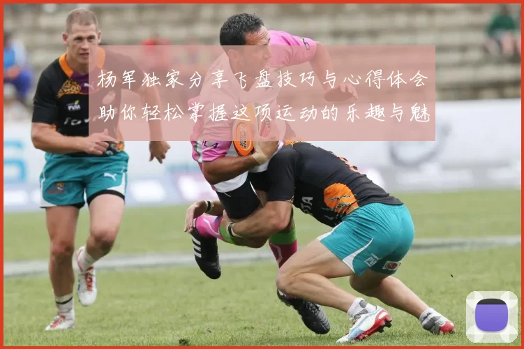 杨军独家分享飞盘技巧与心得体会助你轻松掌握这项运动的乐趣与魅力