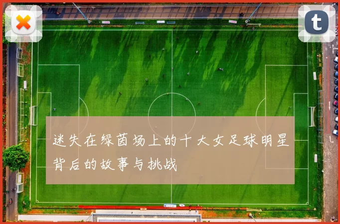 迷失在绿茵场上的十大女足球明星背后的故事与挑战