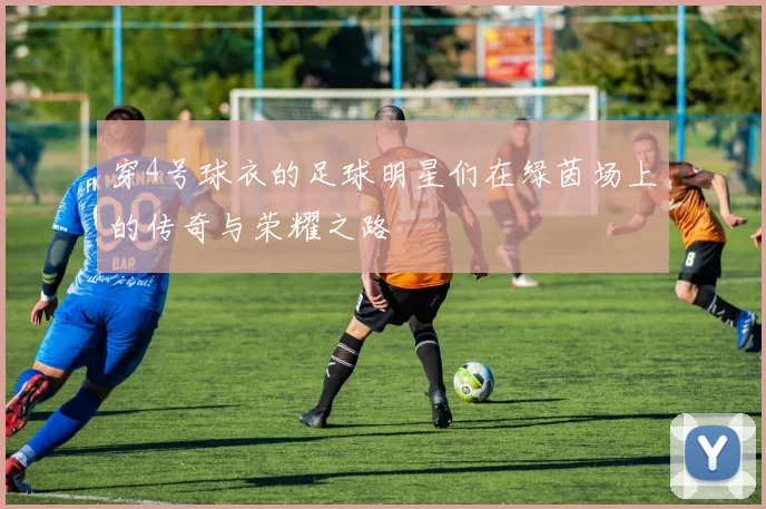 穿4号球衣的足球明星们在绿茵场上的传奇与荣耀之路